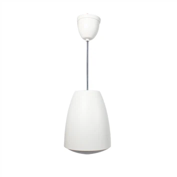 Haut-parleur du pendentif réseau